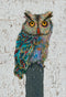 Screech Owl 9