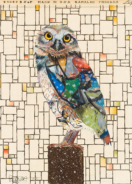 Brenda Bogart Screech Owl 2