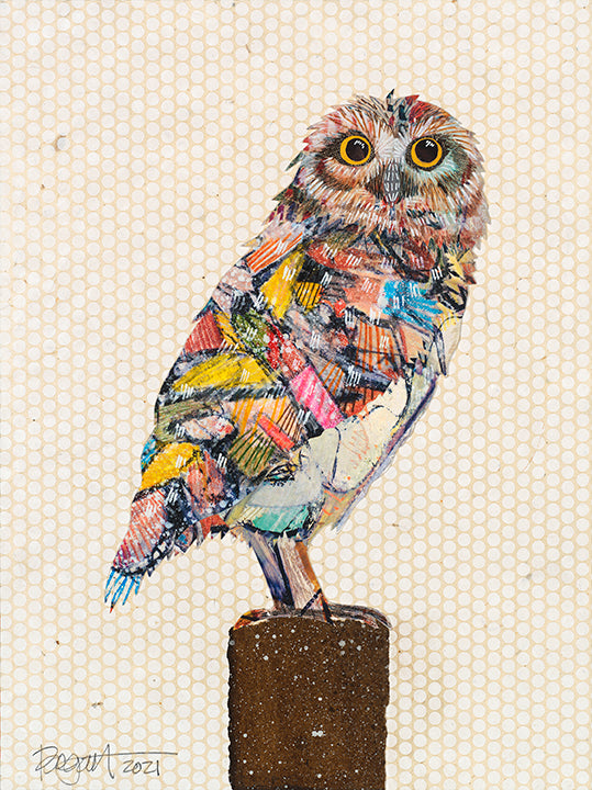 Brenda Bogart Screech Owl 3