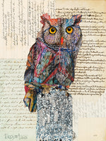 Brenda Bogart Screech Owl 5