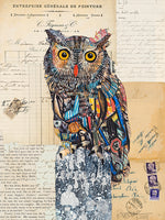 Brenda Bogart Screech Owl 6