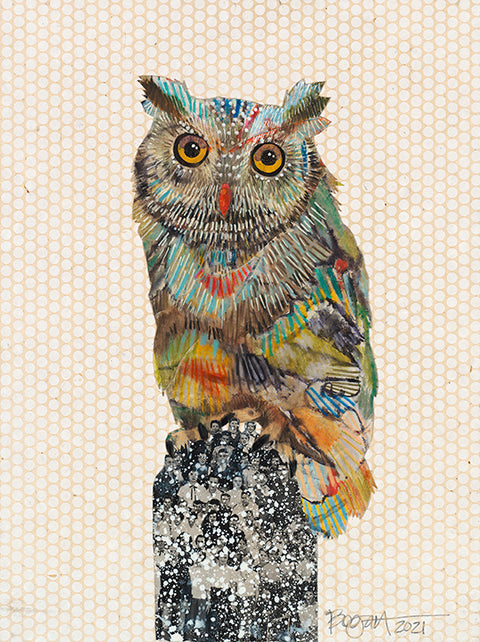 Brenda Bogart Screech Owl 7