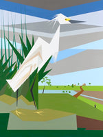 Snowy Egret