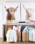 two baskets full of blankets with two photos of cows above them