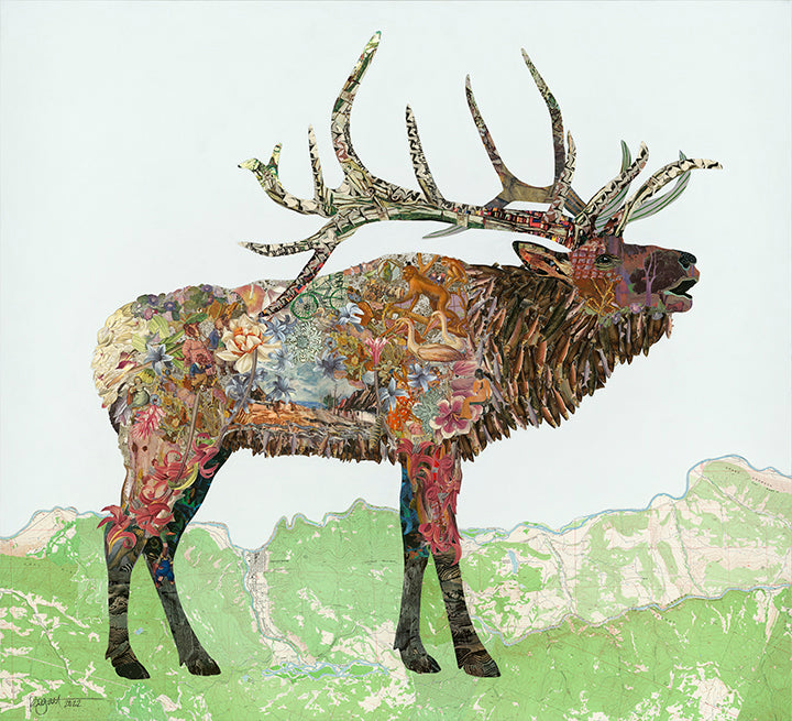 Brenda Bogart Xander the Elk Art Print