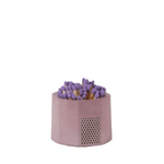 purple match holder with matches