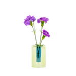 green and blue vase with flowers