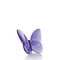 purple crystal butterfly