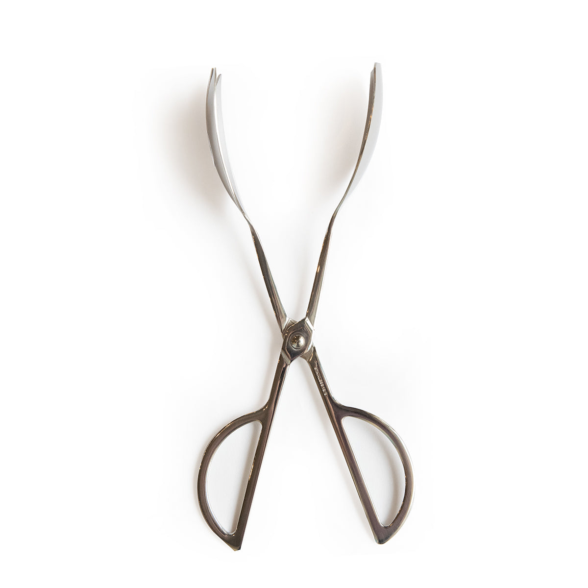 Silver All Purpose Tongs