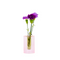 Watermelon Sugar Vase, Small